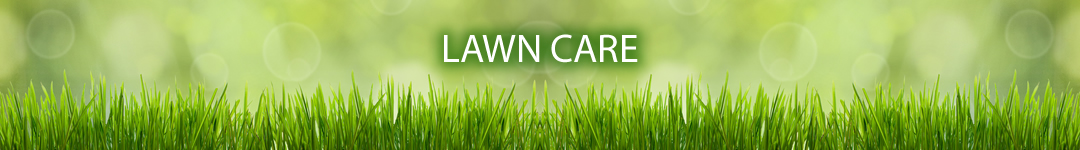 lawn care buffalo